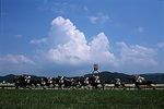 JRA福島競馬場　JRA Fukushima racetrack